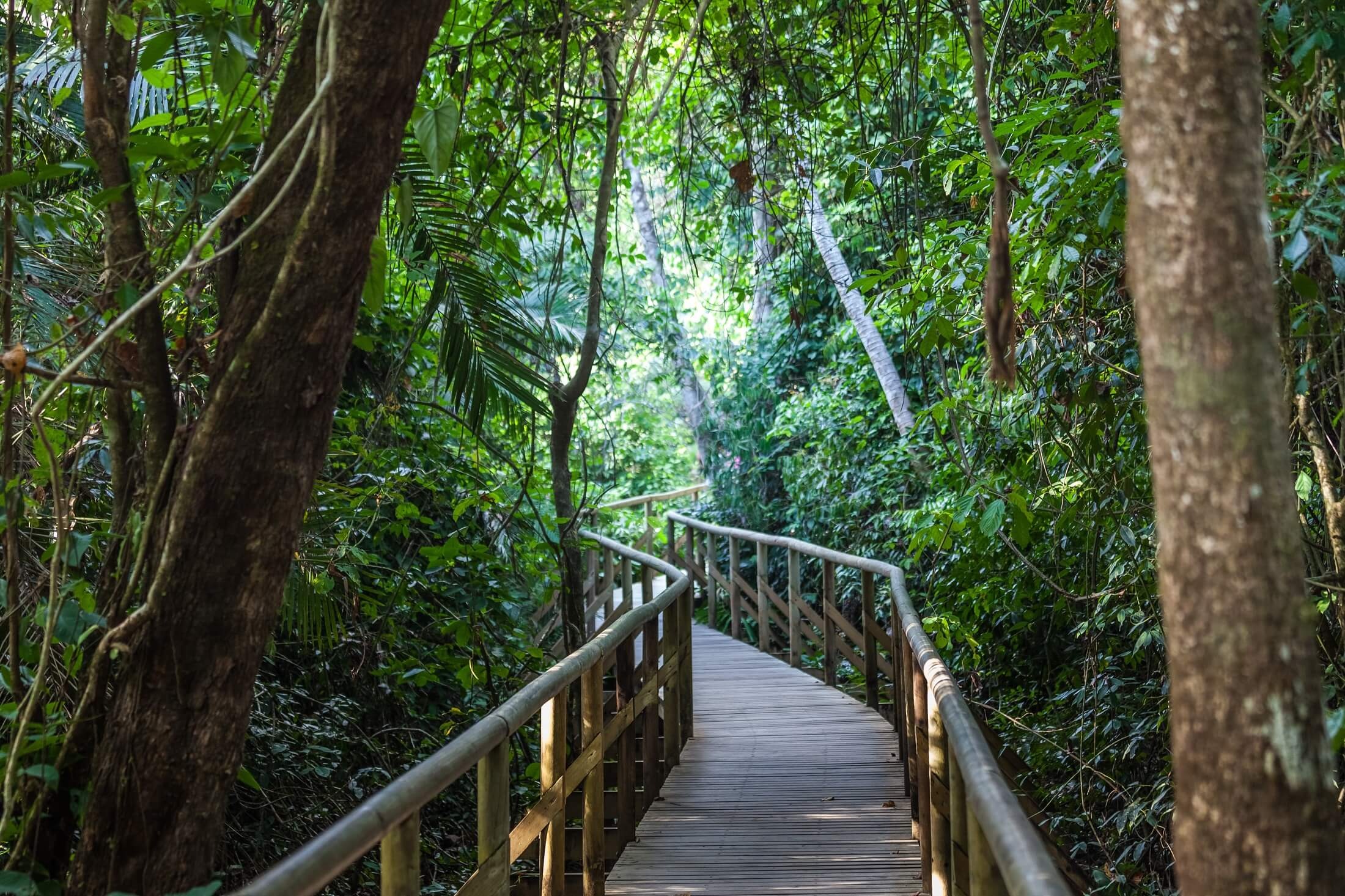 Fortuna to Manuel Antonio National Park — 3