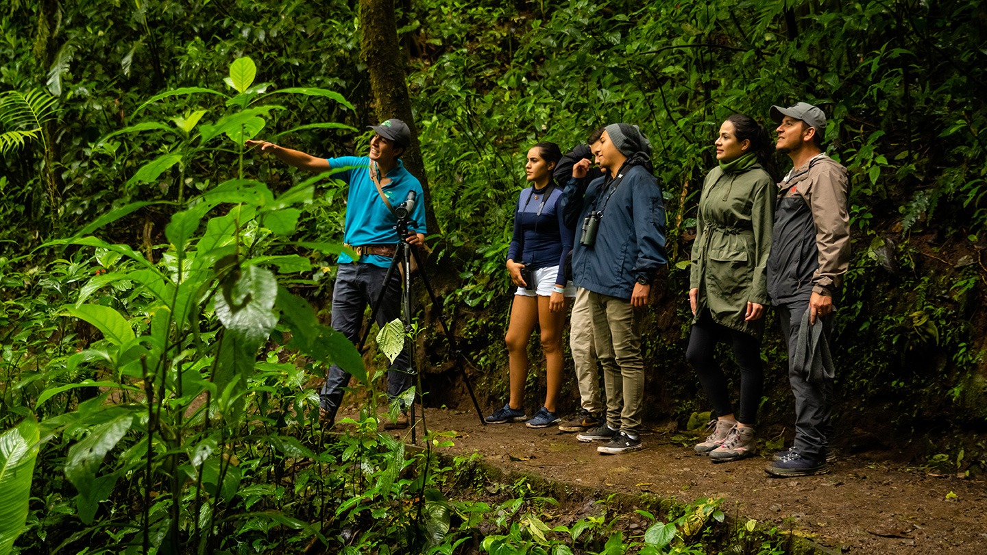 Monteverde Cloud Forest — 2